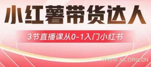 小红薯达人带货启航计划,3节直播课从0-1入门小红书