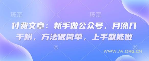 付费文章:新手做公众号,月涨几干粉,方法很简单,上手就能做