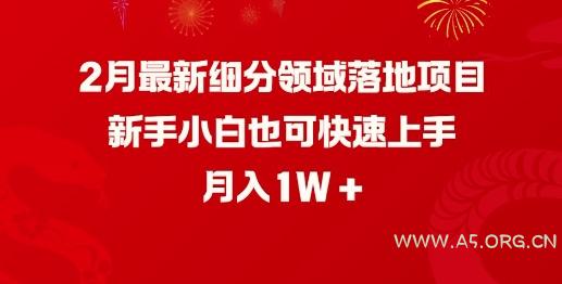 2月最新细分领域落地项目，新手小白也可快速上手，月入1W