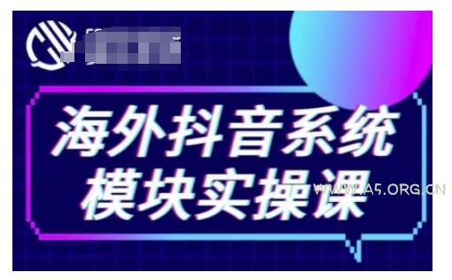 海外抖音Tiktok系统模块实操课，TK短视频带货，TK直播带货，TK小店端实操等