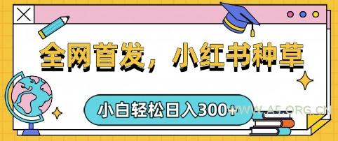 小红书种草，手机项目，日入3张，复制黏贴即可，可矩阵操作，动手不动脑【揭秘】