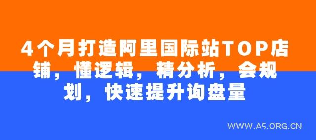 4个月打造阿里国际站TOP店铺,懂逻辑,精分析,会规划,快速提升询盘量
