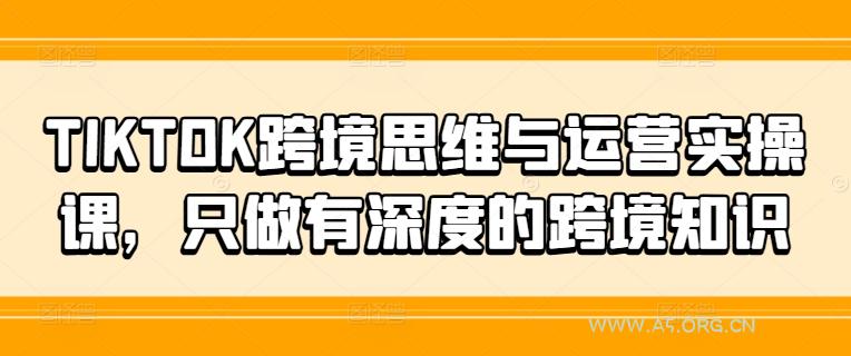 TIKTOK跨境思维与运营实操课,只做有深度的跨境知识