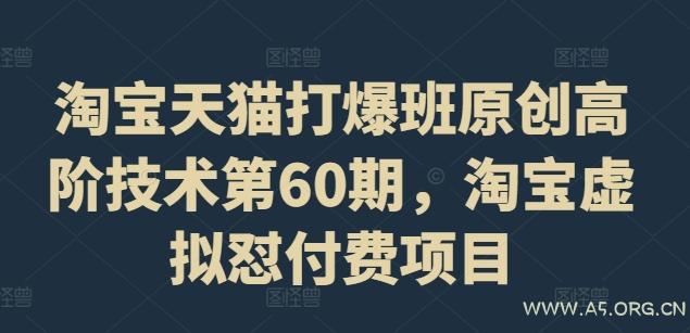 淘宝天猫打爆班原创高阶技术第60期，淘宝虚拟怼付费项目