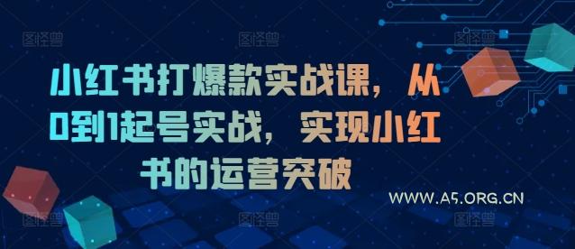 小红书打爆款实战课，从0到1起号实战，实现小红书的运营突破