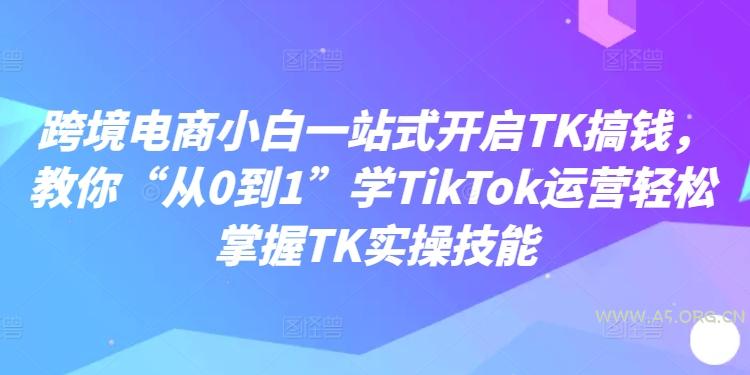 跨境电商小白一站式开启TK搞钱，教你“从0到1”学TikTok运营轻松掌握TK实操技能