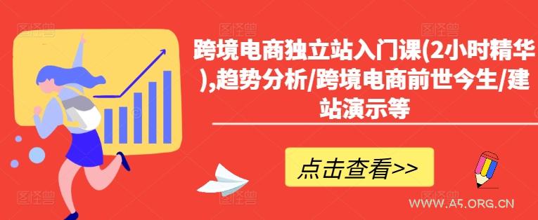 跨境电商独立站入门课(2小时精华),趋势分析/跨境电商前世今生/建站演示等