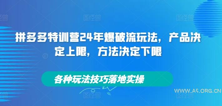 拼多多特训营24年爆破流玩法，产品决定上限，方法决定下限，各种玩法技巧落地实操