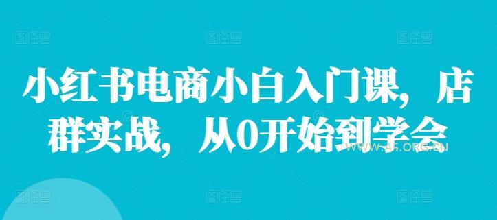 小红书电商小白入门课,店群实战,从0开始到学会