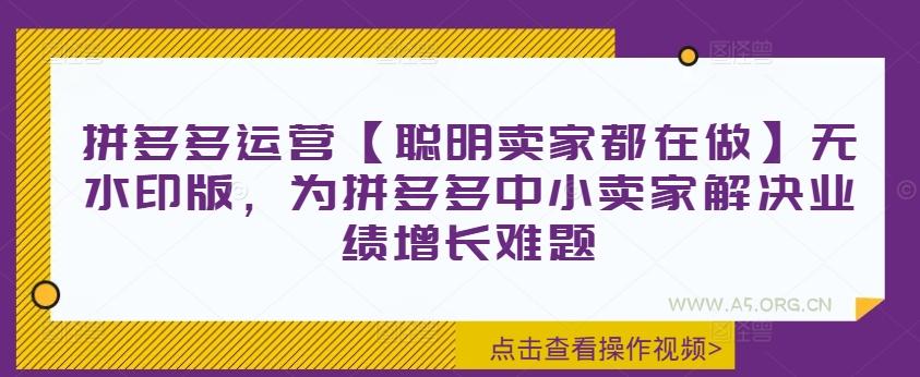 拼多多运营【聪明卖家都在做】无水印版，为拼多多中小卖家解决业绩增长难题
