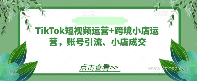 TikTok短视频运营+跨境小店运营,账号引流、小店成交