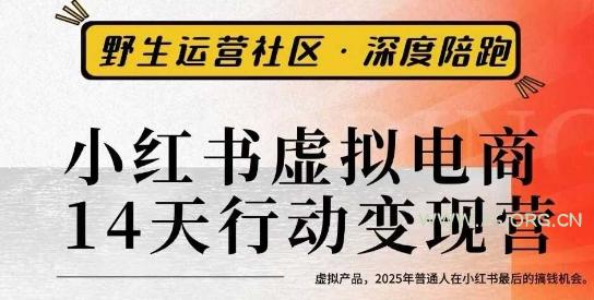 小红书虚拟电商14天变现训练营3.0,虚拟产品,2025年普通人在小红书最后的搞钱机会