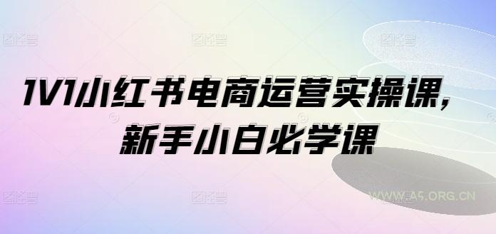 1V1小红书电商运营实操课，新手小白必学课