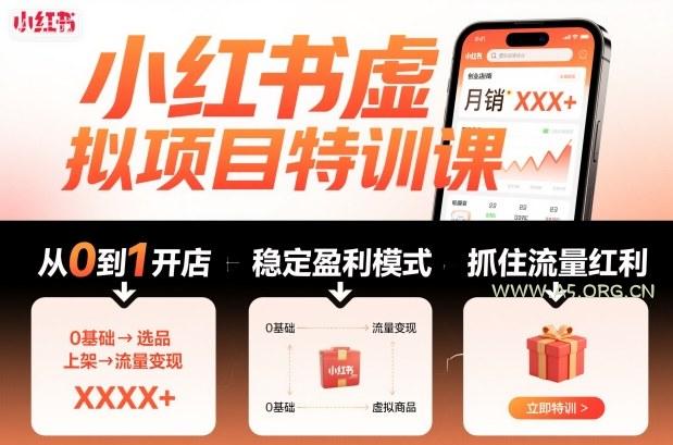 小红书虚拟项目特训课，帮你从0到1打造稳定盈利的店铺，抓住流量红利（更新9月）