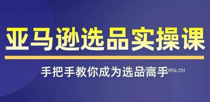 亚马逊选品实操课程，快速掌握亚马逊选品的技巧，覆盖亚马逊选品所有渠道