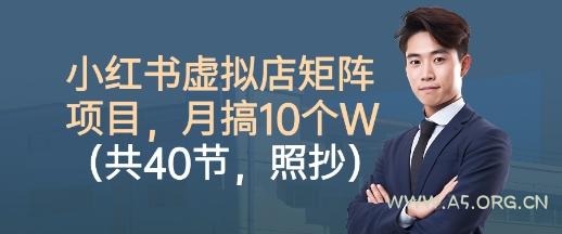 小红书虚拟店矩阵项目,照抄照做,月搞1W+(共40节)