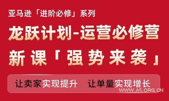 亚马逊进阶必修系列，龙跃计划-运营必修营新课，让卖家实现提升 让单量实现增长