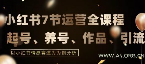 7节小红书运营实战全教程，结合最新情感赛道，打通小红书运营全流程【揭秘】