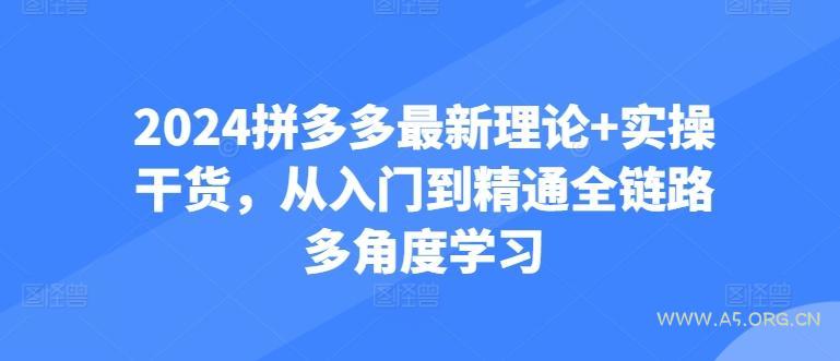 2024拼多多最新理论+实操干货，从入门到精通全链路多角度学习