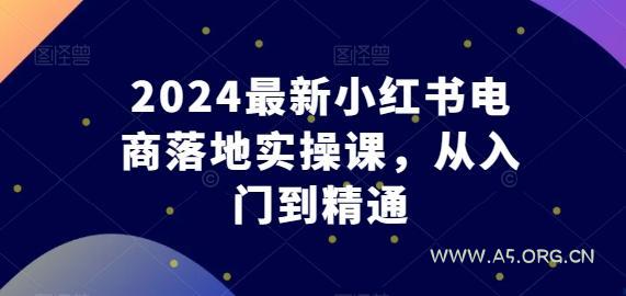 2024最新小红书电商落地实操课,从入门到精通