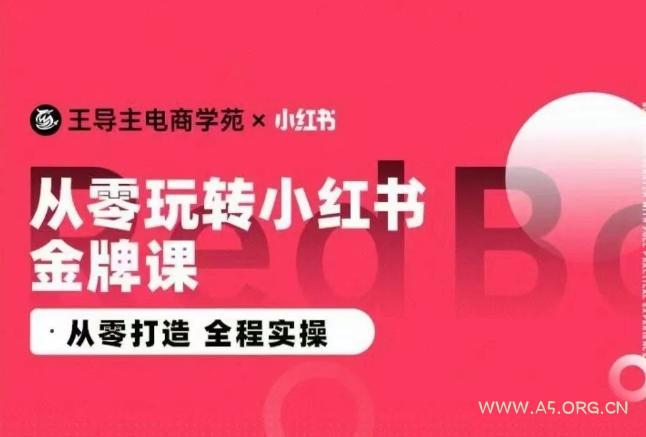 王导主·小红书电商运营实操课，​从零打造 &nbsp;全程实操