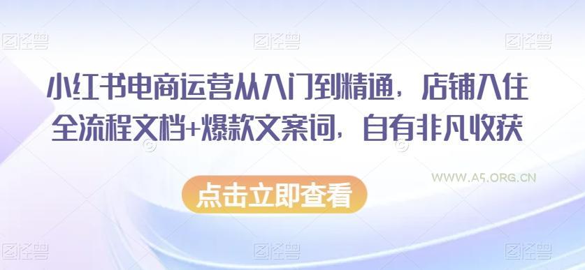 小红书电商运营从入门到精通,店铺入住全流程文档+爆款文案词,自有非凡收获