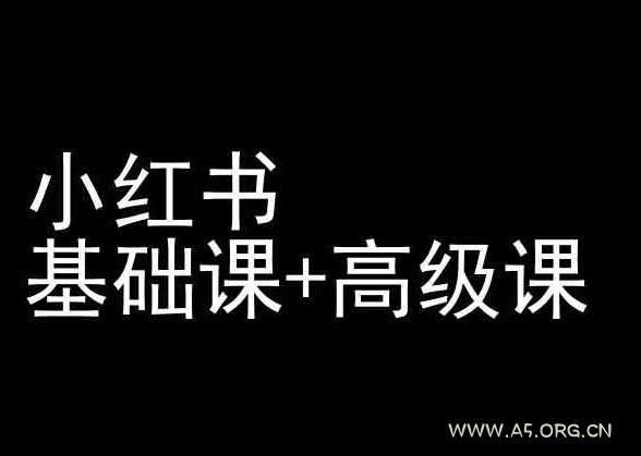 小红书基础课+高级课-小红书运营教程