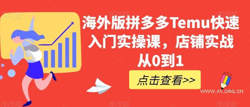海外版拼多多Temu快速入门实操课,店铺实战从0到1