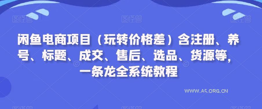 闲鱼电商项目（玩转价格差）含注册、养号、标题、成交、售后、选品、货源等，一条龙全系统教程