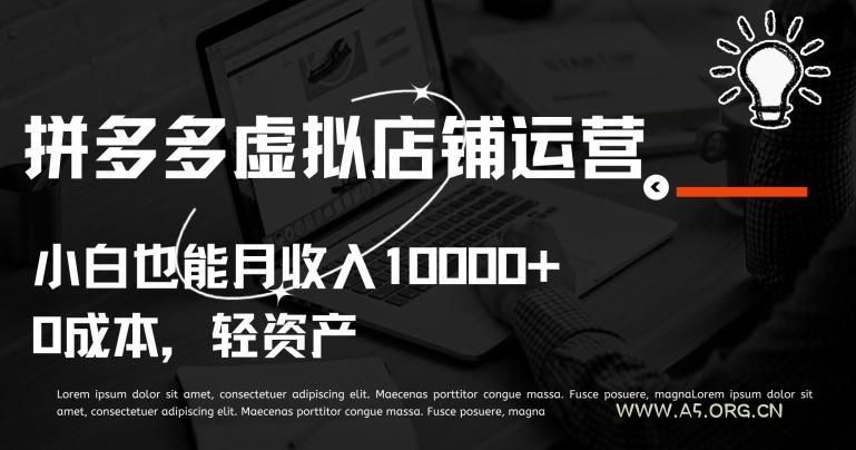 拼多多虚拟店铺运营小白也能月收入10000+【揭秘】