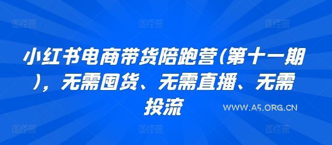 小红书电商带货陪跑营(第十一期)，无需囤货、无需直播、无需投流
