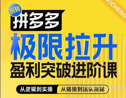 拼多多极限拉升盈利突破进阶课,从算法到玩法,从玩法到团队搭建,体系化系统性帮助商家实现利润提升