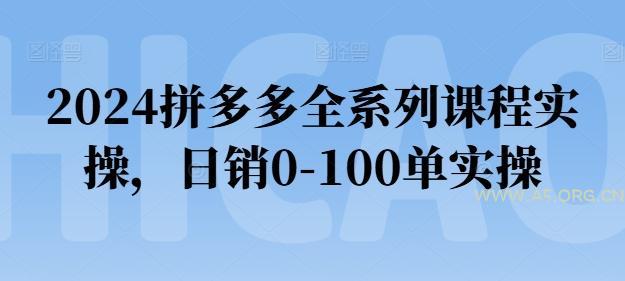 2024拼多多全系列课程实操,日销0-100单实操【必看】