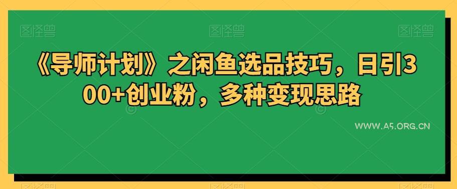 《导师计划》之闲鱼选品技巧，日引300+创业粉，多种变现思路