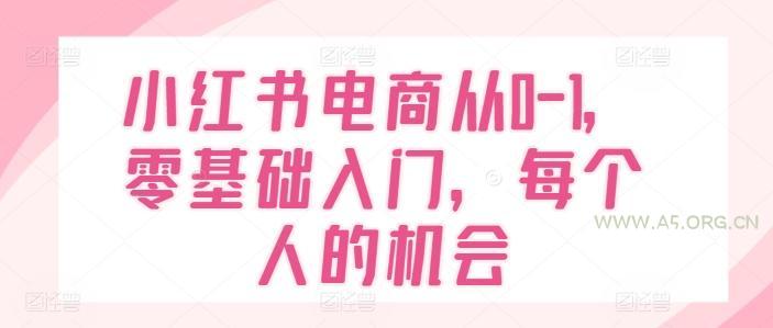 小红书电商从0-1,零基础入门,每个人的机会