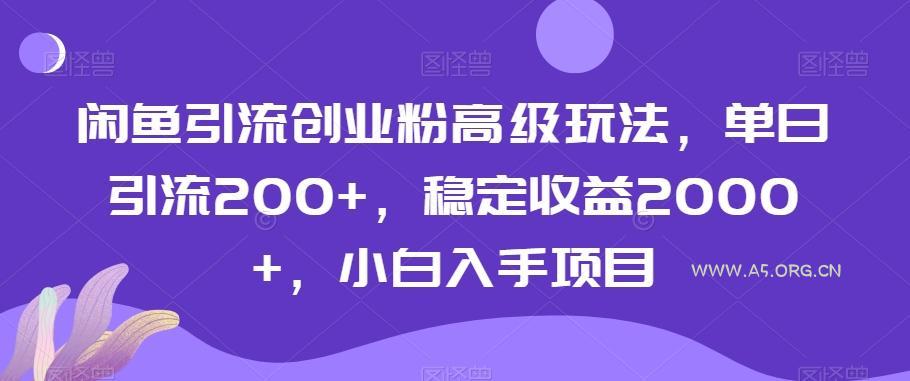 闲鱼引流创业粉高级玩法，单日引流200+，稳定收益2000+，小白入手项目
