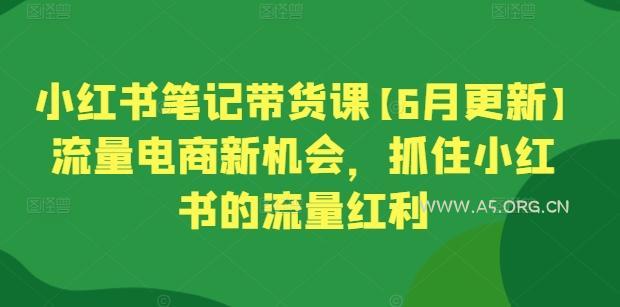 小红书笔记带货课【6月更新】流量电商新机会，抓住小红书的流量红利