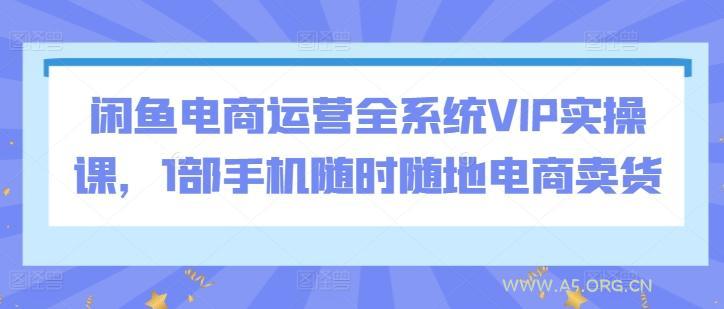 闲鱼电商运营全系统VIP实操课，1部手机随时随地电商卖货
