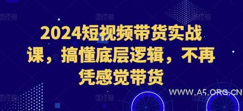 2024短视频带货实战课，搞懂底层逻辑，不再凭感觉带货