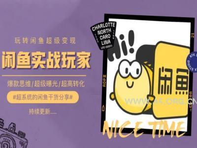 手把手教你0到1系统玩转闲鱼变现，爆款思维/超级曝光/超高转化