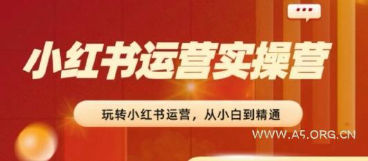 2024小红书运营实操营,从入门到精通,完成从0~1~100