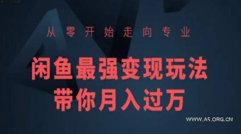 从零开始走向专业，闲鱼最强变现玩法带你月入过万