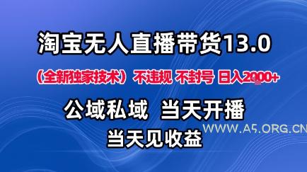 淘宝无人直播13.0，公域私域技术，不封号，不违规布局下半年旺季赛道，日入1K+（独家技术）【揭秘】