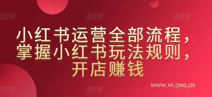 小红书运营全部流程，掌握小红书玩法规则，开店赚钱
