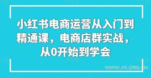小红书电商运营从入门到精通课，电商店群实战，从0开始到学会