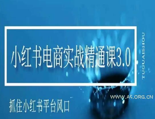 小红书电商实战精通课3.0，抓住小红书平台的风口，不错过有一个赚钱的机会