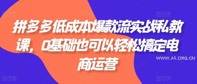 拼多多低成本爆款流实战私教课，0基础也可以轻松搞定电商运营