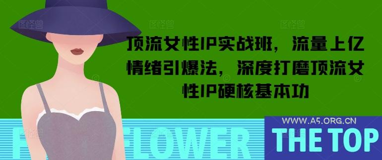 顶流女性IP实战班,流量上亿情绪引爆法,深度打磨顶流女性IP硬核基本功