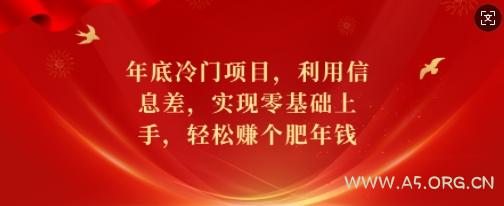 年底冷门项目，利用信息差，实现零基础上手，轻松赚个肥年钱【揭秘】