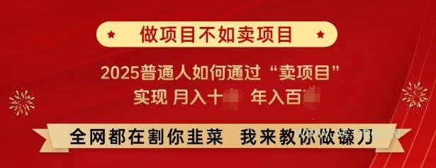 必看,做项目不如卖项目,2025普通人如何通过“卖项目”实现月入十个,年入百个